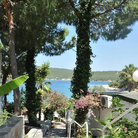 호텔 Greenport Bodrum 3*